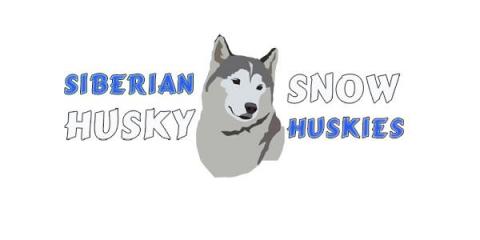 huskies logo Svoboda.jpg